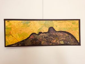 IMG_E4581
